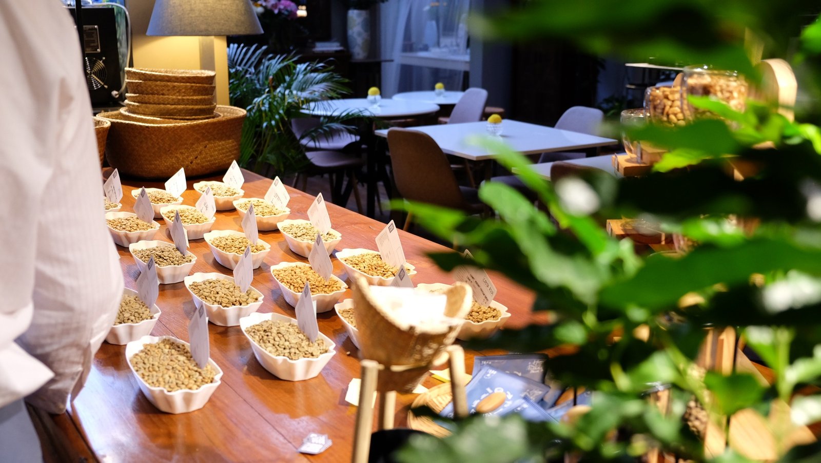 SCA CLASSES Green Coffee - Foundation & Intermediate