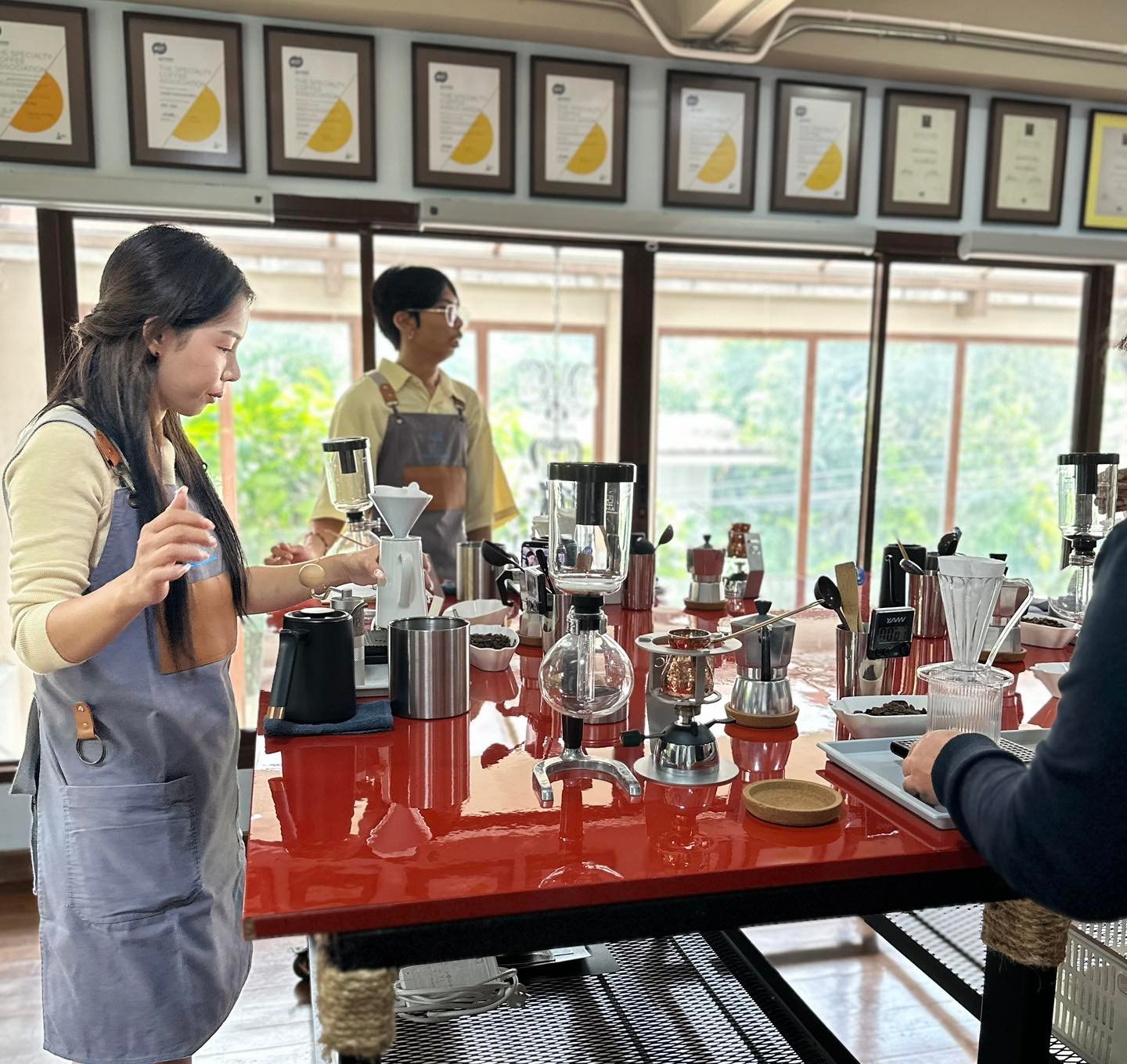 SCA CLASSES Brewing Module - Professional